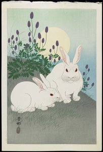 Deux lapins blancs sous une pleine lune, années 1930 - Ohara Koson
